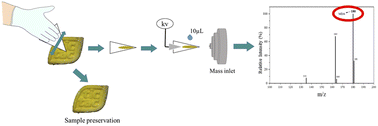 Graphical abstract: A simple, quick and non-destructive approach for sampling drugs of abuse in tablets and blotter for qualitative analysis by paper spray mass spectrometry