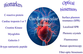 Graphical abstract: Biomarkers and optical based biosensors in cardiac disease detection: early and accurate diagnosis