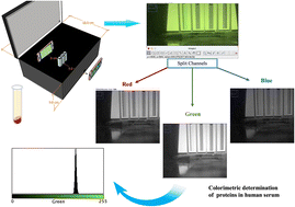 Graphical abstract: Smartphone digital image colorimetry for quantification of serum proteins