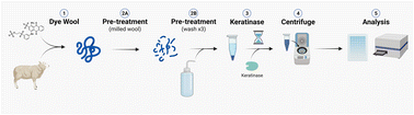 Graphical abstract: An improved, optimised and robust keratin azure assay for accurate assessment of keratinase activity
