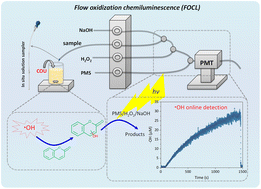 Graphical abstract: Online chemiluminescence determination of the hydroxyl radical using coumarin as a probe