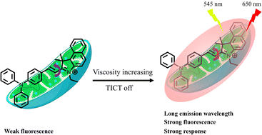 Graphical abstract: A red-emitting mitochondria targetable fluorescent probe for detecting viscosity in HeLa, zebrafish, and mice