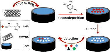 Graphical abstract: Highly sensitive determination of l-glutamic acid in pig serum with an enzyme-free molecularly imprinted polymer on a carbon-nanotube modified electrode