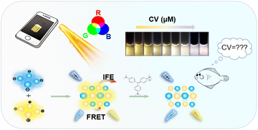 Graphical abstract: Portable smartphone platform based on Ti3C2 MQDs/CDs assembly for ratiometric fluorescence quantitative monitoring of crystal violet