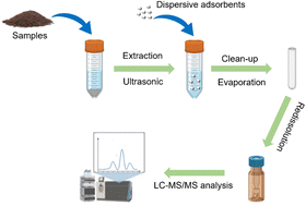 Graphical abstract: Simultaneous determination of 13 sulfonamides at trace levels in soil by modified QuEChERS with HPLC-MS/MS