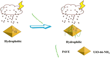 Graphical abstract: Construction of a molecularly imprinted fluorescent sensor based on an amphiphilic block copolymer-metal–organic framework for the detection of oxytetracycline in milk