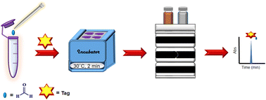 Graphical abstract: Simple and fast microderivatization method for determining formaldehyde using narrow-bore liquid chromatography with UV detection