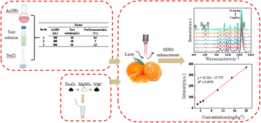 Graphical abstract: SERS combined with QuEChERS using NBC and Fe3O4 MNPs as cleanup agents to rapidly and reliably detect chlorpyrifos pesticide in citrus