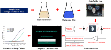 Graphical abstract: A low-cost optofluidic platform for the colorimetric assessment of bacterial activity in domestic wastewater