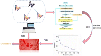 Graphical abstract: Discretized butterfly optimization algorithm for variable selection in the rapid determination of cholesterol by near-infrared spectroscopy