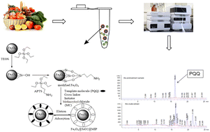 Graphical abstract: Selective extraction and quantitative analysis of pyrroloquinoline quinone from food