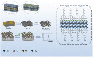 Graphical abstract: A novel electrochemical sensing method based on an amino-functionalized MXene for the rapid and selective detection of Hg2+