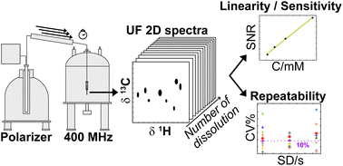 Graphical abstract: Optimization of heteronuclear ultrafast 2D NMR for the study of complex mixtures hyperpolarized by dynamic nuclear polarization