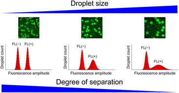 Graphical abstract: Droplet size affects the degree of separation between fluorescence-positive and fluorescence-negative droplet populations in droplet digital PCR