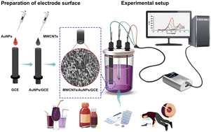 Graphical abstract: Determination of promethazine in forensic samples using multi-walled carbon nanotube-gold nanoparticle electrochemical sensor
