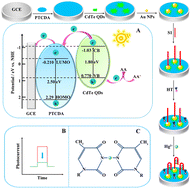 Graphical abstract: Efficient sensitization of CdTe QDs towards PTCDA for sensitive photoelectrochemical Hg2+ assay