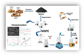 Graphical abstract: The potential of lignocellulosic biomass for magnetic solid phase extraction of naproxen from saliva samples