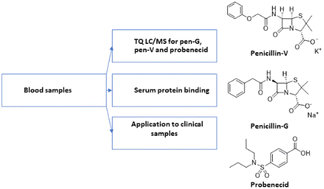 Graphical abstract: A low-volume LC/MS method for highly sensitive monitoring of phenoxymethylpenicillin, benzylpenicillin, and probenecid in human serum