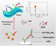 Graphical abstract: Ultrasensitive fluorescence immunoassay of pepsinogen I based on enzyme-triggered decomposition of AuNCs/MnO2