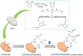 Graphical abstract: Catechol-tetraethylenepentamine co-deposition modified cellulose filter paper for α-glucosidase immobilization and inhibitor screening from traditional Chinese medicine