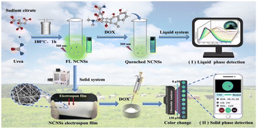 Graphical abstract: A dual-mode green emissive fluorescent probe for real-time detection of doxycycline in milk using a smartphone sensing platform