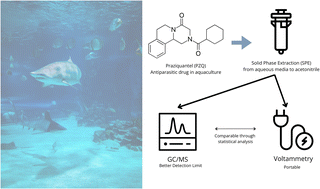 Graphical abstract: A comparison of the detection and quantification of praziquantel via electrochemical and gas chromatography methods in freshwater and saltwater samples