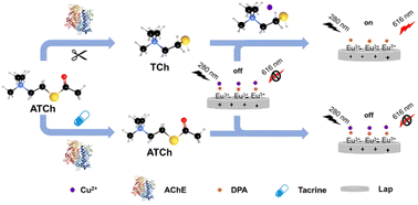 Graphical abstract: Fluorescent assay for acetylcholinesterase activity and inhibitor screening based on lanthanide organic/inorganic hybrid materials