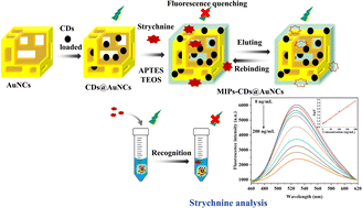 Graphical abstract: Ultra-sensitive fluorescent detection of strychnine based on carbon dot self-assembled gold nanocage sensing probe