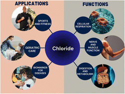 Graphical abstract: Wearable sweat chloride sensors: materials, fabrication and their applications