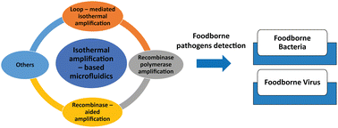 Graphical abstract: Isothermal amplification-based microfluidic devices for detecting foodborne pathogens: a review