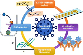 Graphical abstract: An overview of electrochemical biosensors used for COVID-19 detection