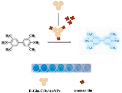 Graphical abstract: Colorimetric assay for α-amanitin based on inhibition of carbon dots/AuNPs nanoenzyme activity