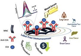 Graphical abstract: Realizing the label-free sensitive detection of carcinoembryogenic antigen (CEA) in blood serum via a MNC-decorated flexible immunosensor