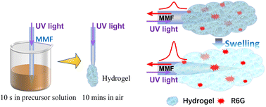 Graphical abstract: A hydrogel optical fibre sensor for rapid on-site ethanol determination