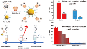 Graphical abstract: Enhanced portable detection for Sars-CoV-2 utilizing DNA tetrahedron-tethered aptamers and a pressure meter