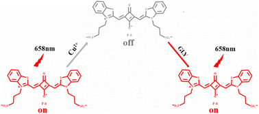 Graphical abstract: An on–off–on fluorescent probe for the detection of glyphosate based on a Cu2+-assisted squaraine dye sensor