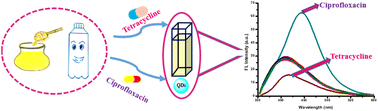 Graphical abstract: Turn-off/turn-on biosensing of tetracycline and ciprofloxacin antibiotics using fluorescent iron oxide quantum dots