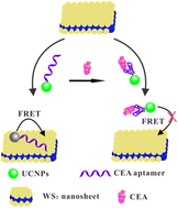 Graphical abstract: A fluorescent aptasensor for highly sensitive and selective detection of carcinoembryonic antigen based on upconversion nanoparticles and WS2 nanosheets