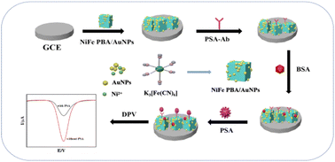 Graphical abstract: A NiFe PBA/AuNPs nanocomposite sensitive immunosensor for electrochemical detection of PSA