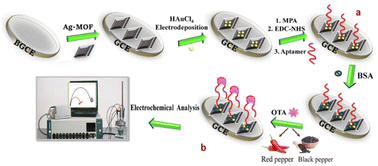 Graphical abstract: A label-free aptasensor based on electrodeposition of gold nanoparticles on silver-based metal–organic frameworks for measuring ochratoxin A in black and red pepper