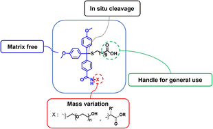 Graphical abstract: Preparation and evaluation of in situ photocleavable mass tags with facile mass variation for matrix-free laser desorption ionization mass spectrometry