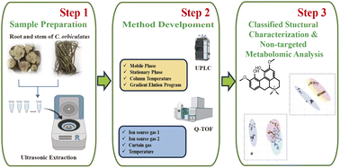 Graphical abstract: Chemical characterization and comparative analysis of different parts of Cocculus orbiculatus through UHPLC-Q-TOF-MS