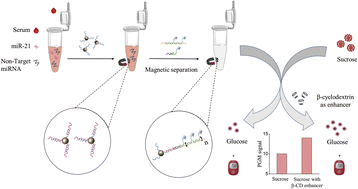 Graphical abstract: A novel β-cyclodextrin-assisted enhancement strategy for portable and sensitive detection of miR-21 in human serum