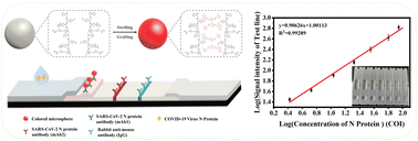 Graphical abstract: Preparation of dyed polymer microspheres by a physical–chemical dual-binding method and their application in lateral flow immunoassay