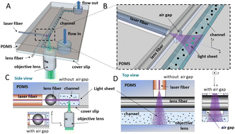 Graphical abstract: On-chip light sheet illumination for nanoparticle tracking in microfluidic channels