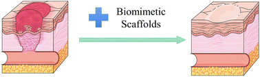 Graphical abstract: Designing biomimetic scaffolds for skin tissue engineering