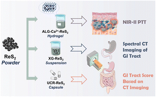 Graphical abstract: Flexible use of commercial rhenium disulfide for various theranostic applications