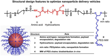 Graphical abstract: Optimization of amino acid-based poly(ester urea urethane) nanoparticles for the systemic delivery of gambogic acid for treating triple negative breast cancer