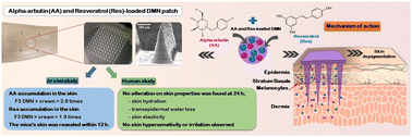 Graphical abstract: Fabrication of polyvinyl pyrrolidone-K90/Eudragit RL100-based dissolving microneedle patches loaded with alpha-arbutin and resveratrol for skin depigmentation