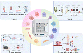 Graphical abstract: 3D bioprinting tumor models mimic the tumor microenvironment for drug screening